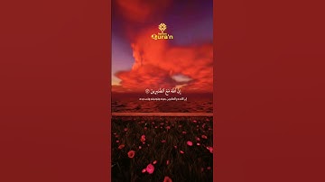 قرآن كريم | يا ايها الذين امنوا استعينوا بالصبر والصلاة📿💚Qura'n kareem 2025