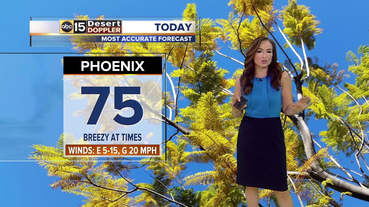 Allergens high, rain chances creep back - YouTube