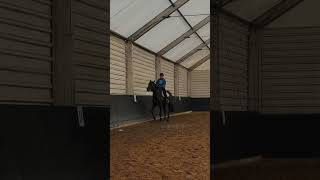 #horse #equestrian #followme #riding #happy #music #horseriding #status #memories #happymoments #my