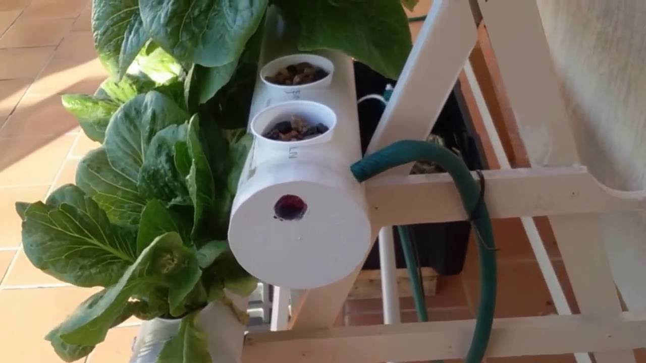 Hydroponics hydroponic