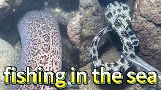 Diving to catch seafood, look how many I caught!！QU028 #diving #fishing #lobster