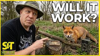 How I Finally Got Animals to Show Up