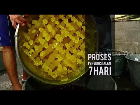 Video: Cara Memproses Cendawan Shitake: 8 Langkah (dengan Gambar)