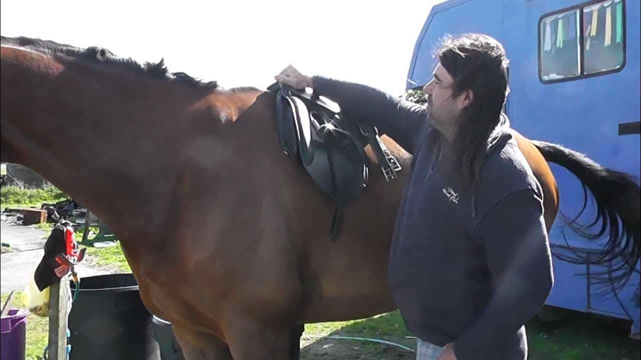 Saddle Fitting for Thoroughbreds & High Withered Horses YouTube