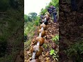 #newvideo #shorts #video #viral #viralvideos #nature #newstatus #newwhatsappstatus