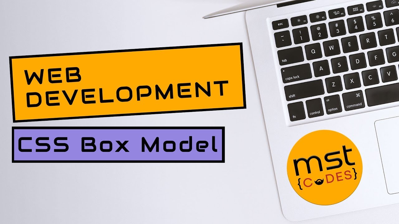 Box Model Inspect CSS Box Model & Inspect Element for beginners - YouTube