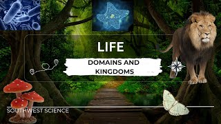 Domains and the 6 Kingdoms of Life