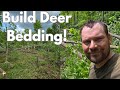 Building Better Deer Bedding in Big Woods/Wolf Country (Part 2)