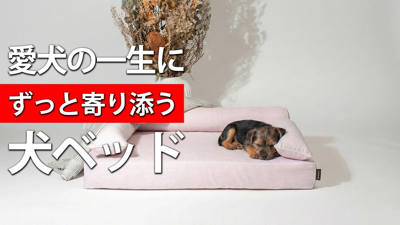 シニア犬・老犬介護におすすめの犬ベッド】洗える・床ずれ防止・体圧