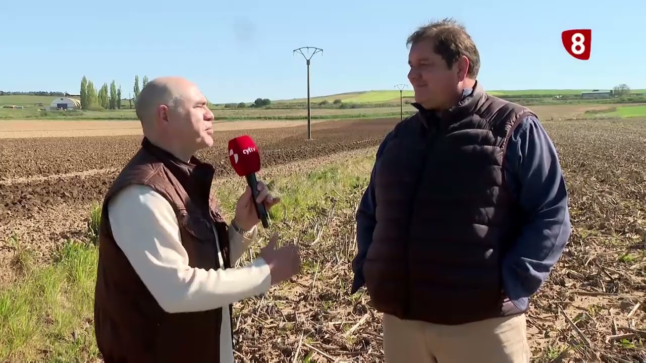 Las lluvias retrasan la siembra de patata y maíz - Campo Salmantino, 28 de abril de 2025