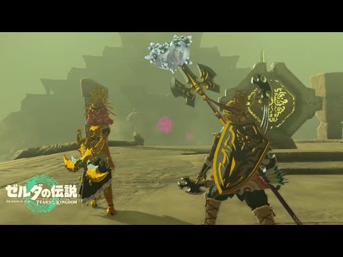 【ゼルダの伝説 ティアーズオブザキングダム】神殿解放までのギミック苦戦した #64【Vtuber】