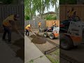 Dull yard to dream oasis: AI backyard makeover video 🎉