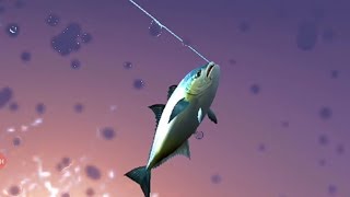 Fishing Hook Installation , Gameplay and Reviews [ Games for kids ] Ryan Games 2017 screenshot 5