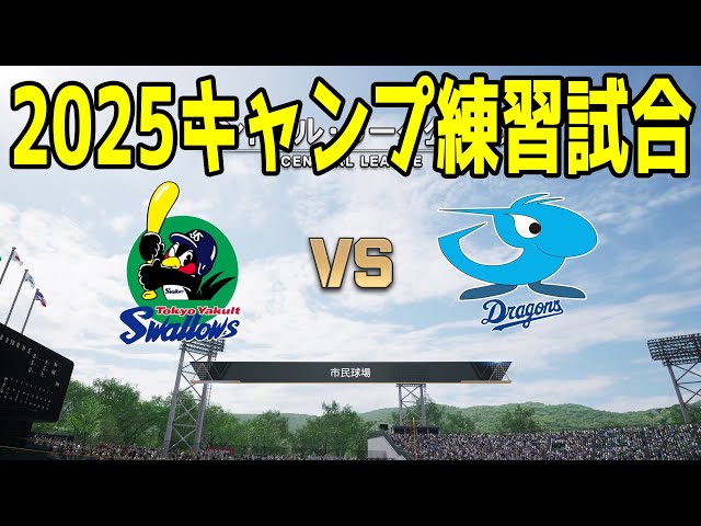2025年5月14日　中日ドラゴンズvsヤクルトスワローズ　試合球 2025年5月14日 中日ドラゴンズvsヤクルトスワローズ 試合球