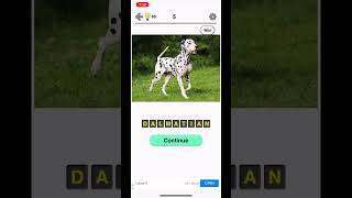 Dogs Quiz: Photos of Cute Pets (iOS) - 1 Minute Gameplay Preview Introduction! (10x Speed) screenshot 1