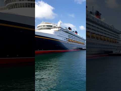 ვიდეო: Disney Cruises სამხრეთ კალიფორნიიდან
