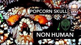 Non Human Trapped In Rock