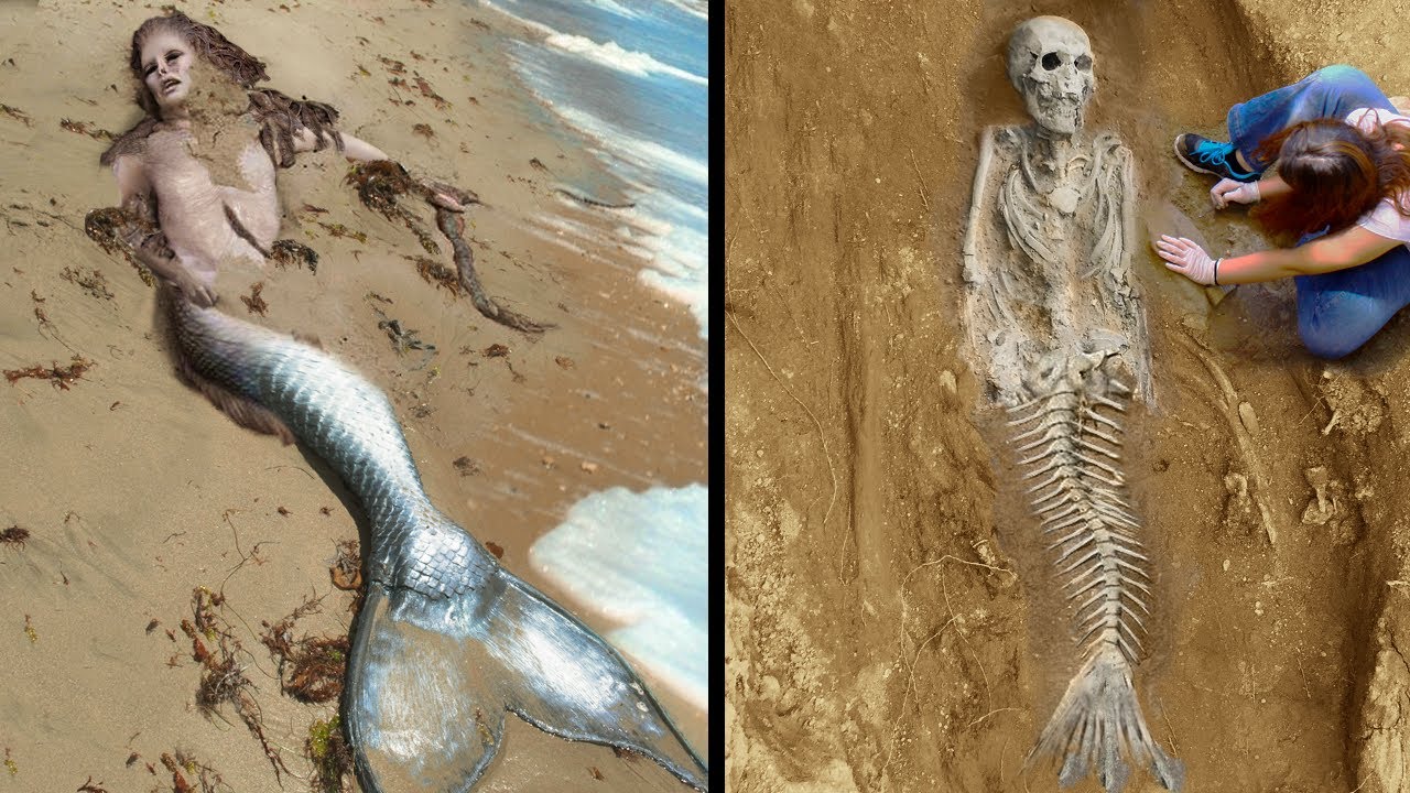 Mermaid Sightings Around the World