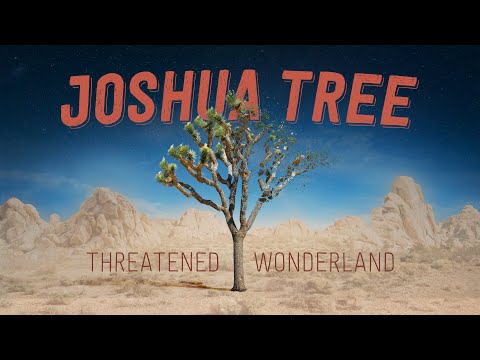 The Unexpected Threat To Joshua Trees (NYT)