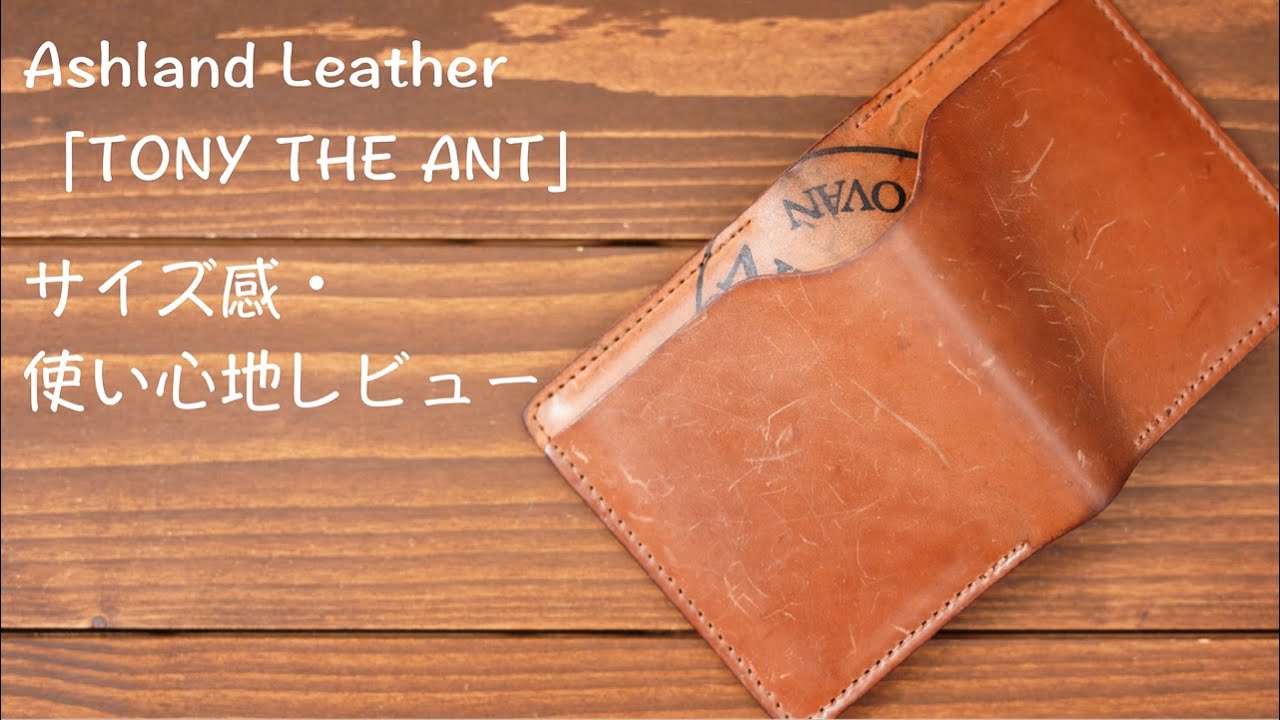 Ashland Leatherコードバン財布「TONY THE ANT」のサイズ感・使い心地レビュー！