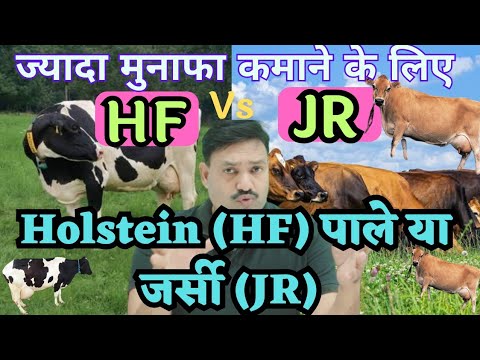 वीडियो: क्या अच्छी नस्ल ड्रेसेज के लिए अच्छी होती है?