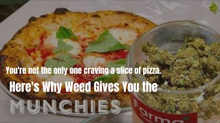 Why Weed Gives You The MUNCHIES (And What To Do About It)