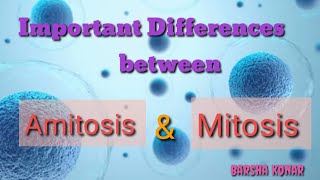 Difference Between Amitosis And Mitosis Cell Division And Career
