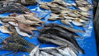 Banyaknya Ikan Segar di Pasar Tradisional ini ‼