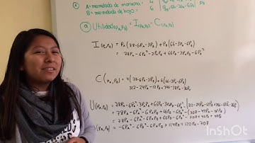 GRUPO IV- Tema: Optimizacion de funciones de dos variables.