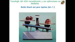 Seminario Biología molecular. Parte 3