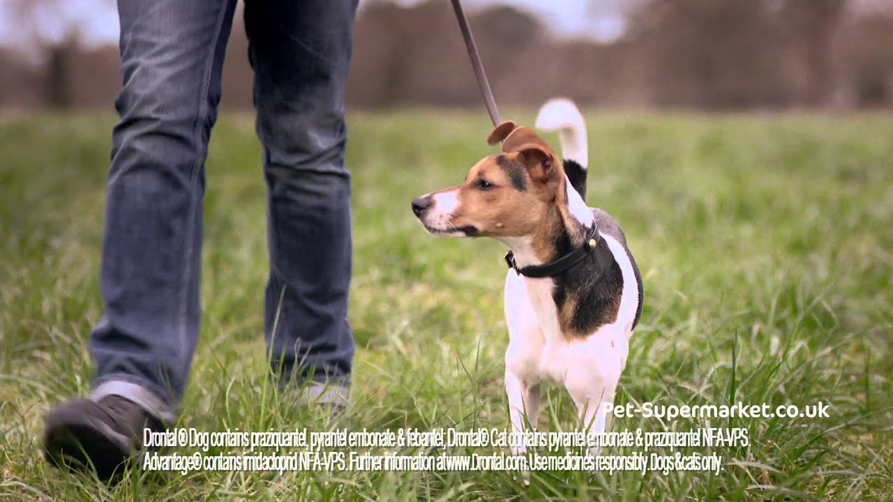 pet supermarket clinic Pet-supermarket TV advert for March/April 2015 (version 1)