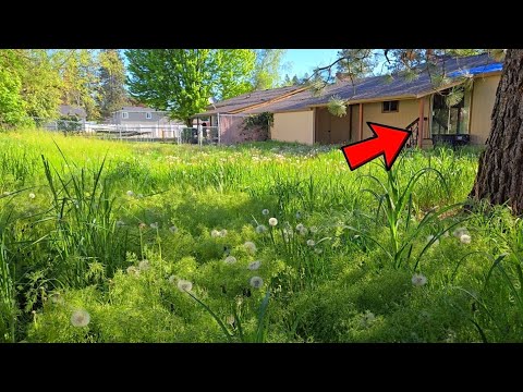 Thumbnail for He Came Home To A NOTE On His Door… What It Said Changed Everything