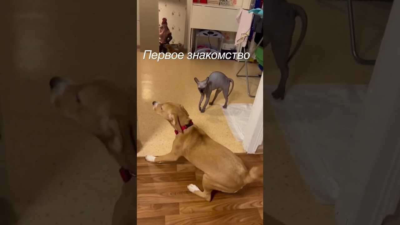 7 марта 2023 г.