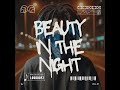 Bj  beauty in the night music