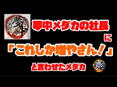 夢中メダカの社長に「このメダカしか増やさん！」と言わせたメダカとは？　2022年に向けて掛け合わせメダカなど色々紹介！