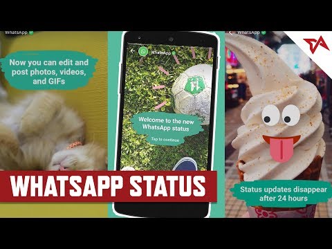 Whatsapp Status | TIA Focus