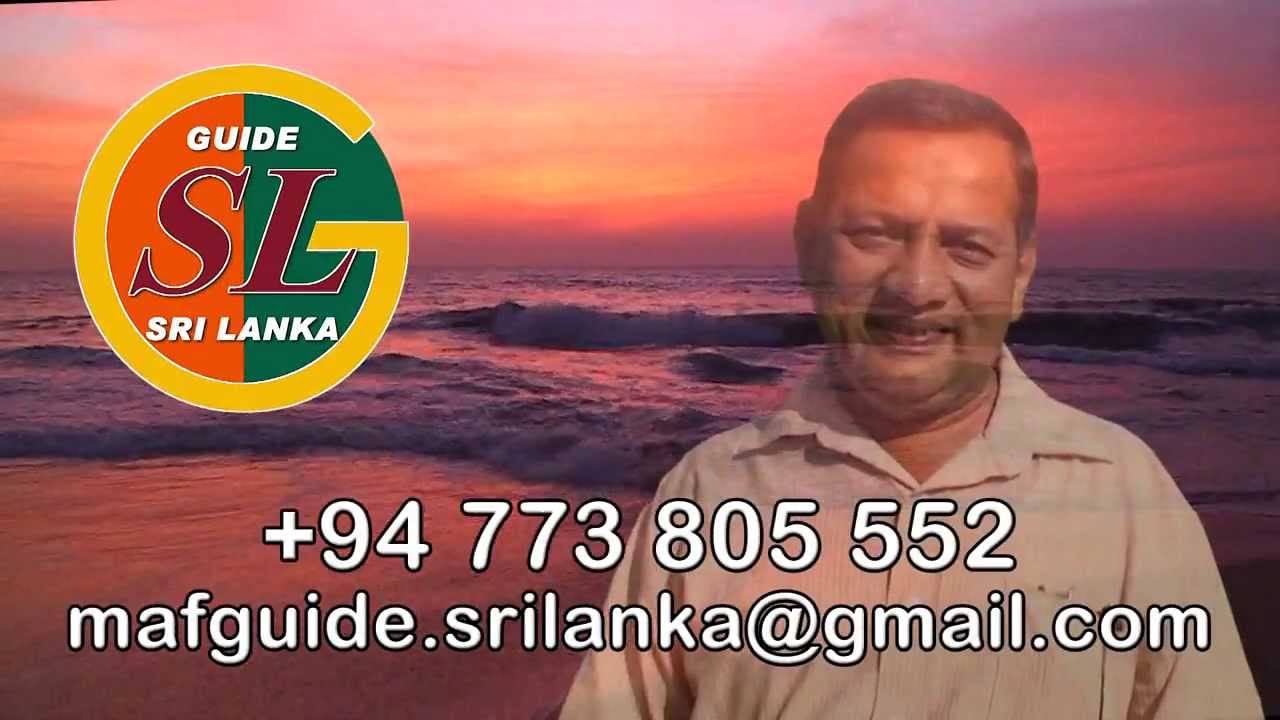 sri lanka tourist driver association