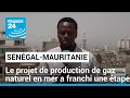 Projet de production de gaz naturel entre le sngal et la mauritanie  france 24