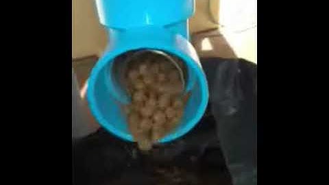 เครื่องให้อาหารปลาอัตโนมัติทำเองไข้เอง