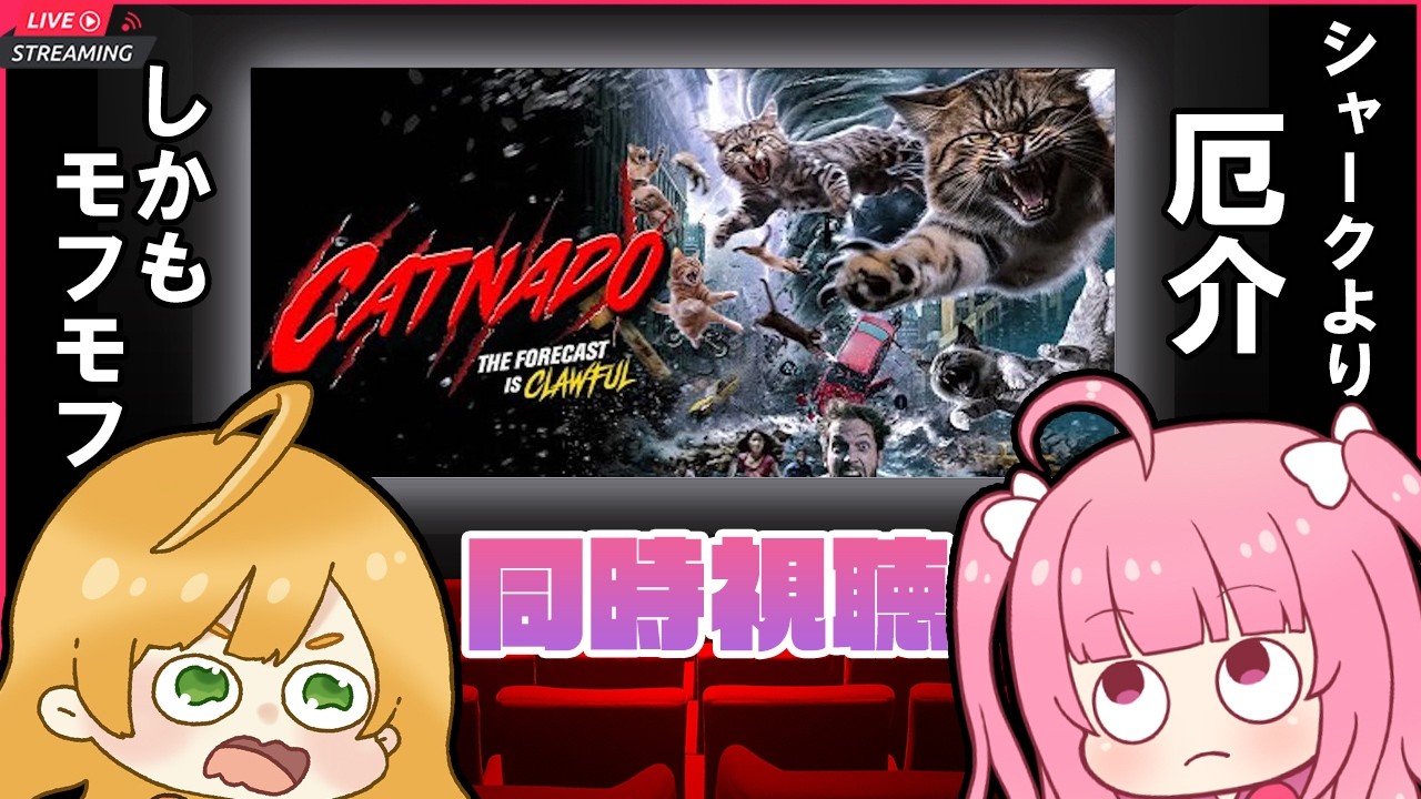 📽️同時視聴！キャットネード ～シャークより厄介、しかもモフモフ～を一緒に観よ♡✨️【サメ竜巻の次はネコ竜巻🐈️🌪️】