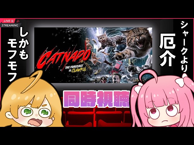 📽️同時視聴！キャットネード ～シャークより厄介、しかもモフモフ～を一緒に観よ♡✨️【サメ竜巻の次はネコ竜巻🐈️🌪️】