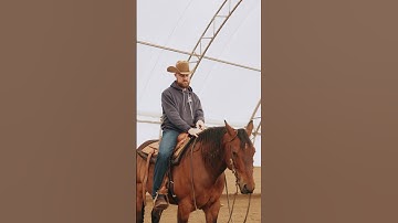 MASTER your reins with this tip #shorts