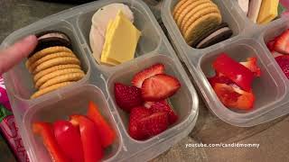 What I packed in my kid's school lunches by CandidMommy 1,646 views 3 years ago 1 minute, 34 seconds