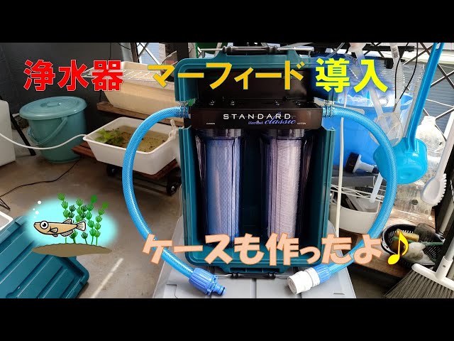 【メダカ】浄水器マーフィード導入 ケースも作ったよ #メダカ