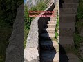 Hiking To The Top Of The Kotor Fortress | Virtual Hiking Video | Hiking in Kotor