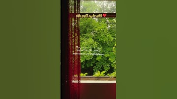 اكتب شىء تؤجر عليه يوم القيامه قرأن كريم سورة لقمان باجمل صوت ❤
