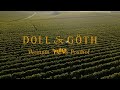 Weingut Posthof Weinlese 2025