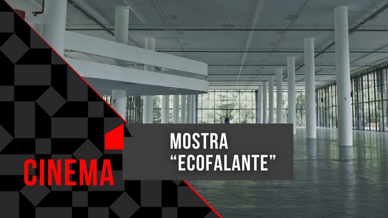 Empate  Mostra Ecofalante de Cinema