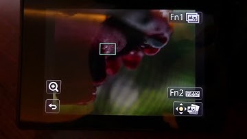 Panasonic G80 Post Focus and Focus Stacking.