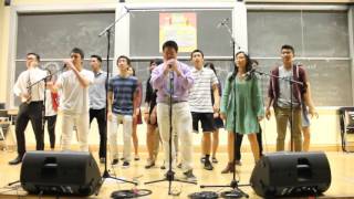 Fly - FCS Spring 2016